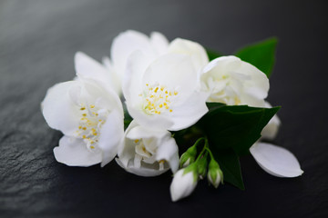 Fototapeta na wymiar Blüten
