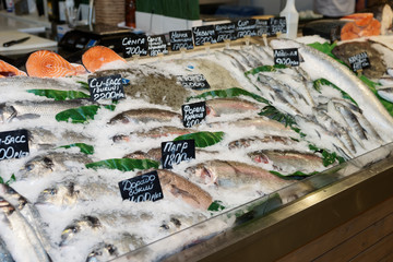 Choise of fish on market display