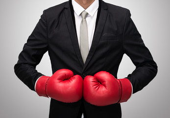 Businessman standing posture in boxing gloves isolated