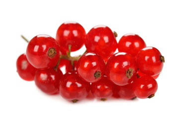 red currant