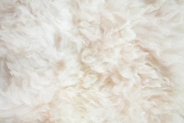 Zelfklevend Fotobehang sheep wool background © Diana Taliun