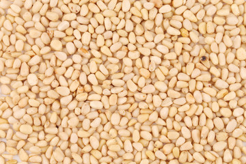 Fototapeta premium Close up of pine nuts. Macro.
