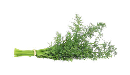 Fresh dill herb.