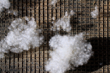 fuzz on black checkered background