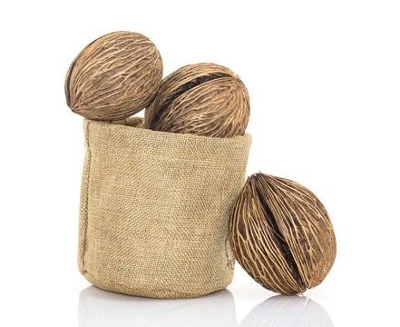 Othalanga - Suicide tree seed in sacks fodder
