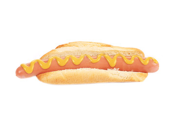 Big tasty hot dog with mustard.