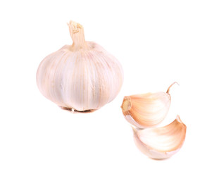 Head of garlic.