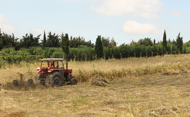farming with old tractor
