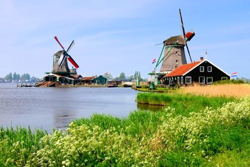 Fototapeta premium Windmills along a canal at Zaanse Schans, Netherlands