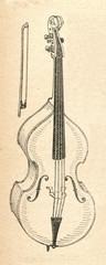 Double bass
