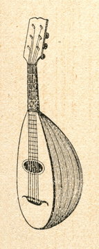 Mandolin
