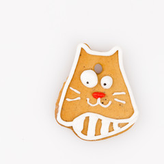 delicious gingerbread cat
