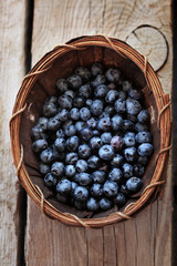 Blueberries