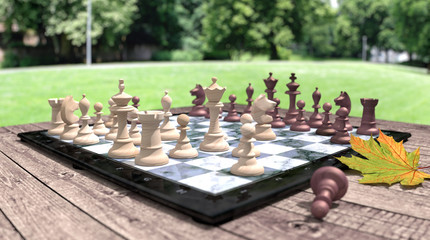 Schach im Park mit Ahornblatt (Perspektive 2) © sarbiewski
