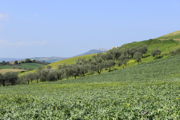 Paesaggio