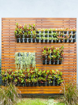 Vertical Garden