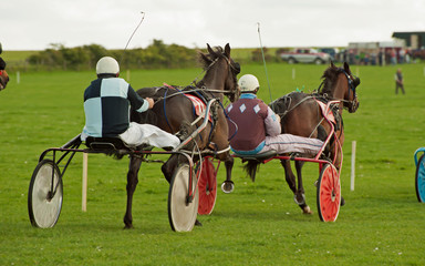 Trotting Race Synod Inn Cardigion