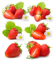 Set of strawberries with leaves and blossom isolated