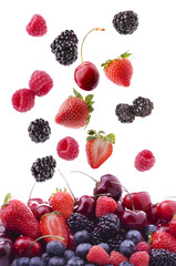 frutti di bosco © luigi giordano