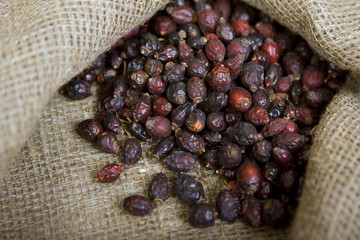 A lot of briar dry, closeup