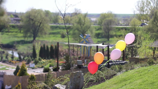 several colorful balloons flying in the wind park on