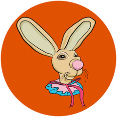 Whimsical Rabbit Face