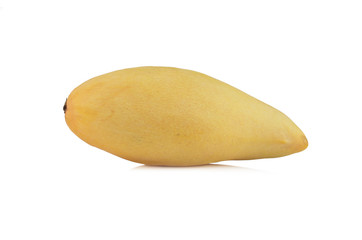 Yellow mango isolated on a white background