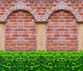 Green Tree with brick wall background  ,wall and bush in park