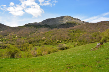 Naklejka premium pradera en las montañas de los picos de europa