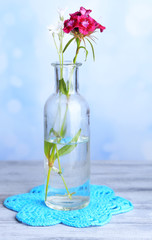 Bright wildflower in bottle on wooden table, on light