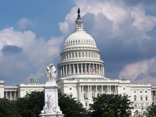 Fototapeta premium The Capitol, Washington, DC
