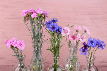 Beautiful summer flowers in vases on pink wooden background
