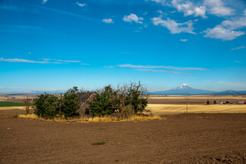 Fototapeta premium Rural Washington State