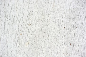 White Cracked Wood Texture