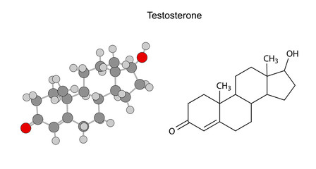 Structural chemical formulas of testosterone molecule