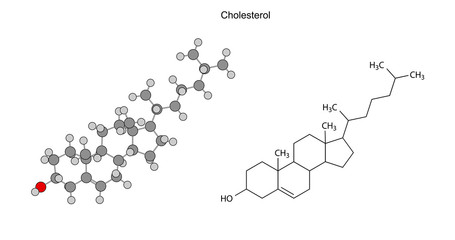 Structural chemical formulas of cholesterol molecule