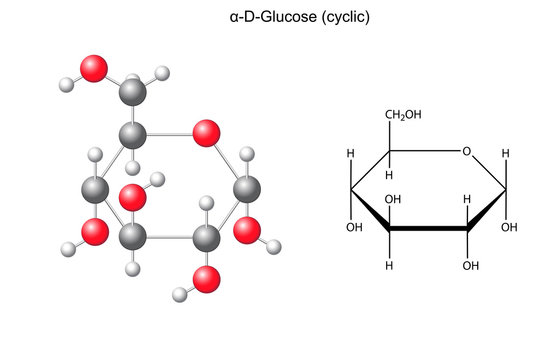 Structural chemical formula and model of alpha-D- glucose