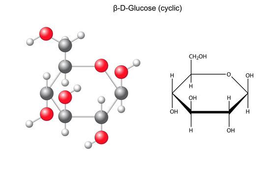 Structural chemical formula and model of glucose