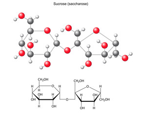 Structural chemical formula and model of sucrose (saccharose)