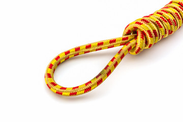 Elastic straps rope with metal hooks.
