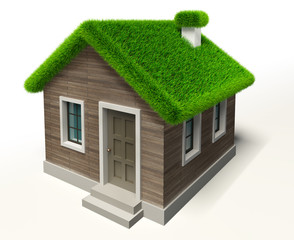 green grass roof house