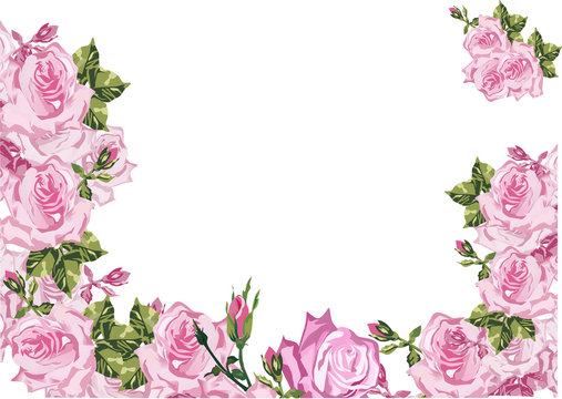 frame decorated by pink rose flowers on white