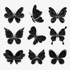 vector butterflies