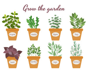 Set of vector herbs in pots with labels © K3Star