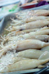 Fototapeta na wymiar Fresh squid in the market