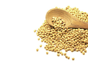 soy beans in spoon
