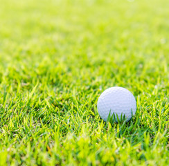 Golf ball on green grass