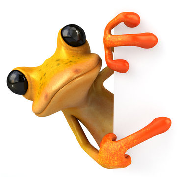 Yellow Frog