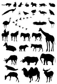 silhouette animals