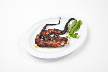 grilled octopus